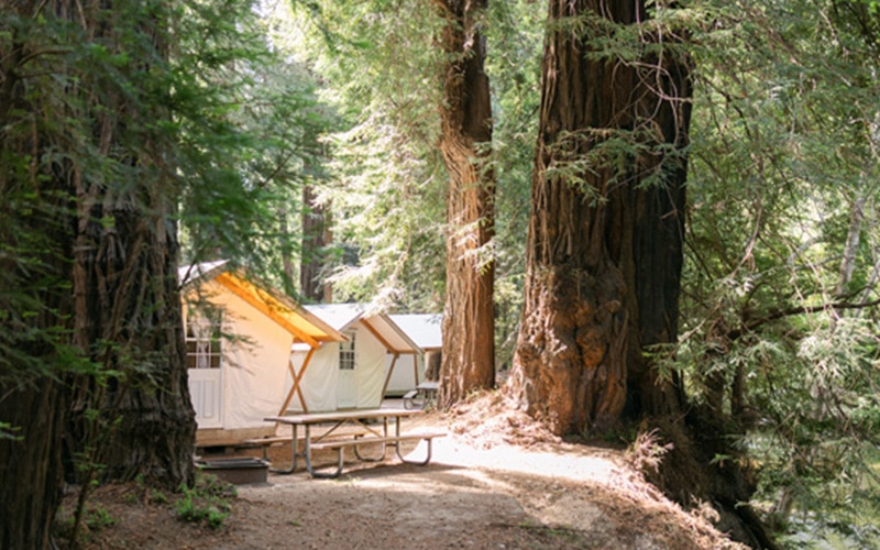 Authentic Glamping In California - Best Of Fernwood Resort - Tent Cabins 