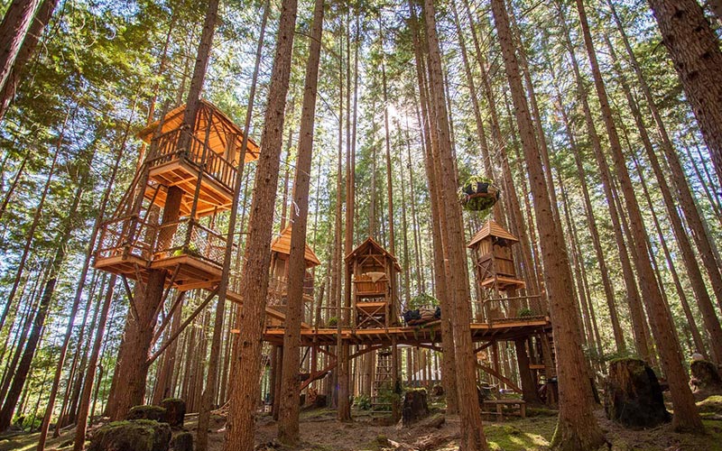 Best Romantic Treehouse Cabin - Emerald Forest Treehouse - Emerald Theater
