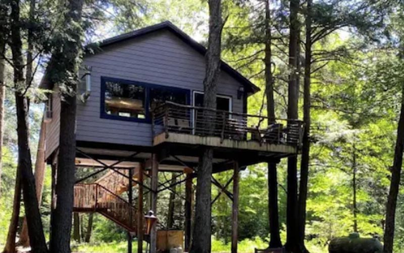 Treehouse Rentals in Wisconsin - Spacious Tree House