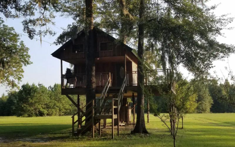 Alabama Treehouse - Family Size Hope Hull Treehouse