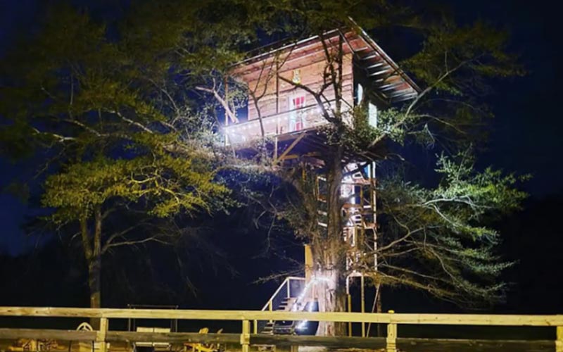 Treehouse Rentals In Alabama - Enchanted Tree House
