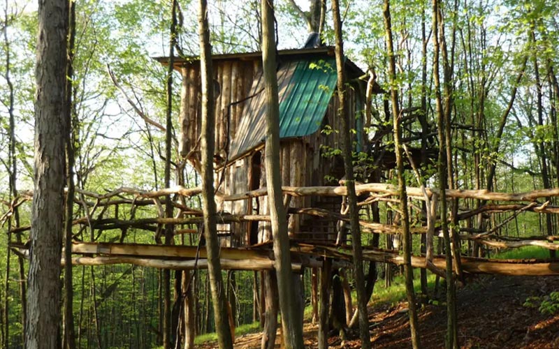 Treehouse Rentals In Vermont - Vermont Treehouse compound 02