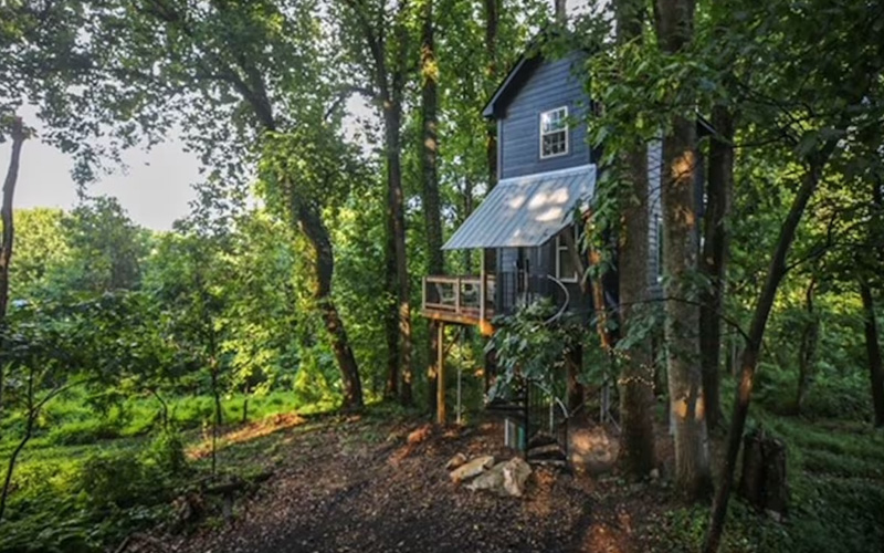 Romantic Treehouse Stay in the Sky - Treehouse Rentals In Virginia - another view