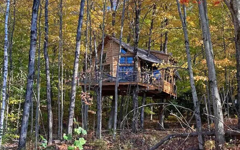 Treehouse at Bliss Ridge Farm - Treehouses In Vermont - outdoor view