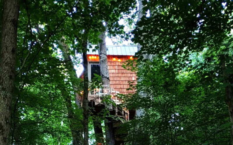 The Pop Top Treehouse