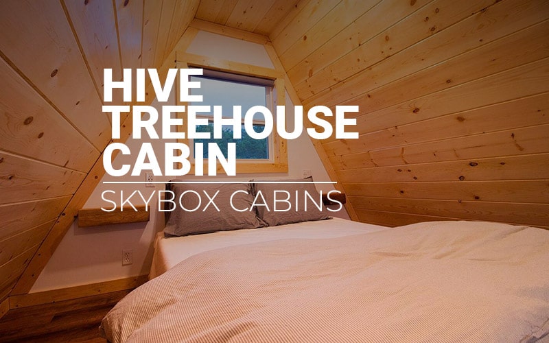 Hive Treehouse Cabin - SkyBox - Featured
