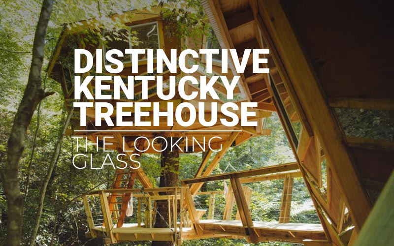 Red River Gorge Treehouse - The Looking Glass - Featured
