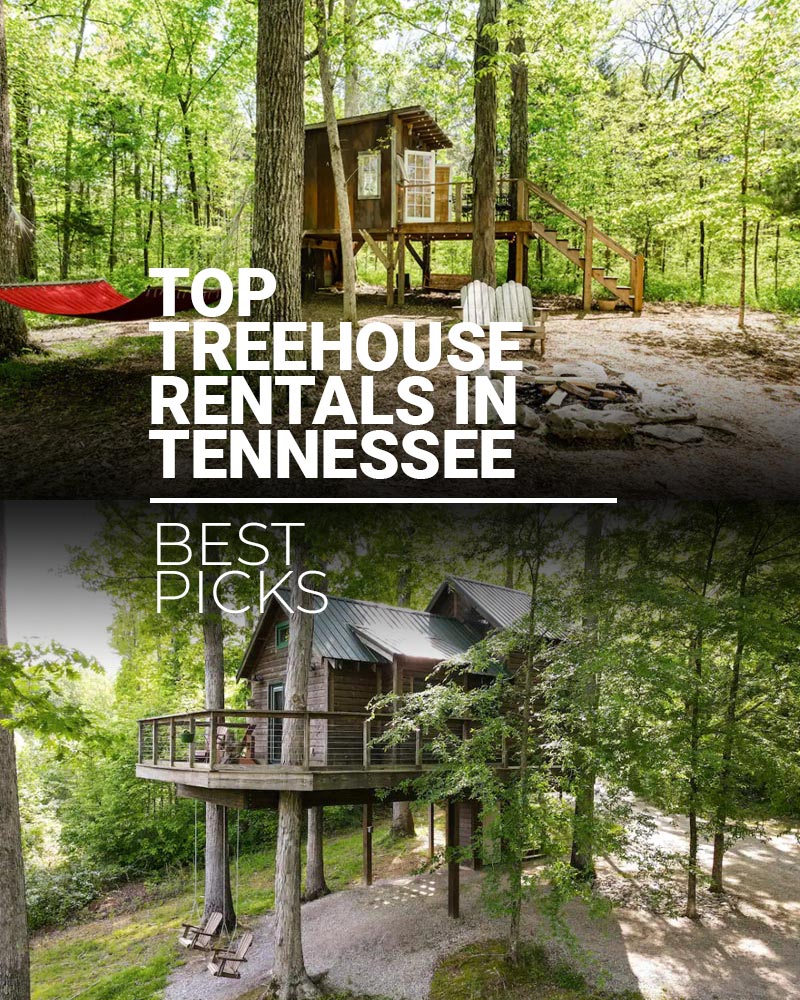 Treehouse Rentals In Tennessee