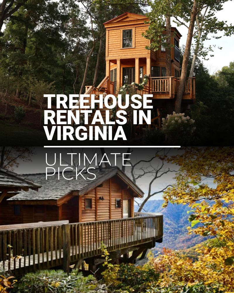 Treehouse Rentals in Virginia
