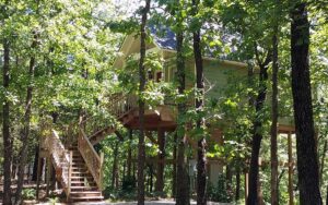 7 Treehouse Rentals In Arkansas: Ultimate Picks In 2024