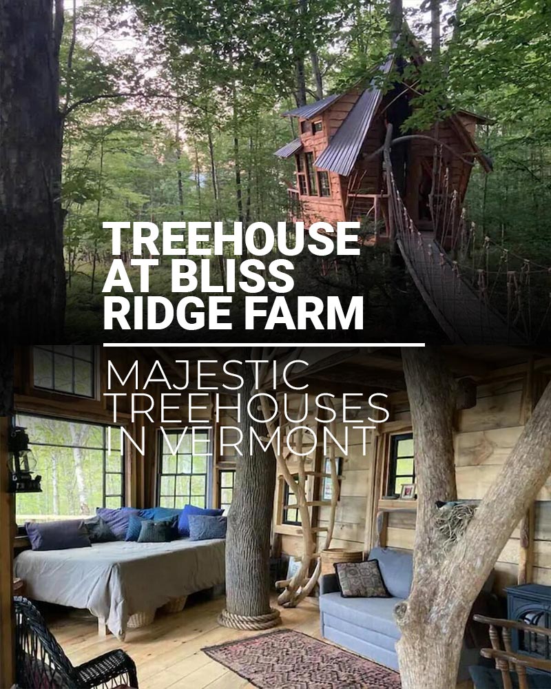 Treehouse at Bliss Ridge Farm - Featured image