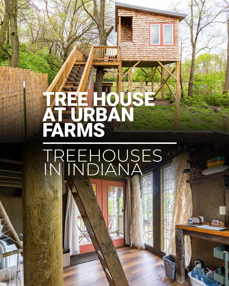 Tree House At Urban Farm - Featured
