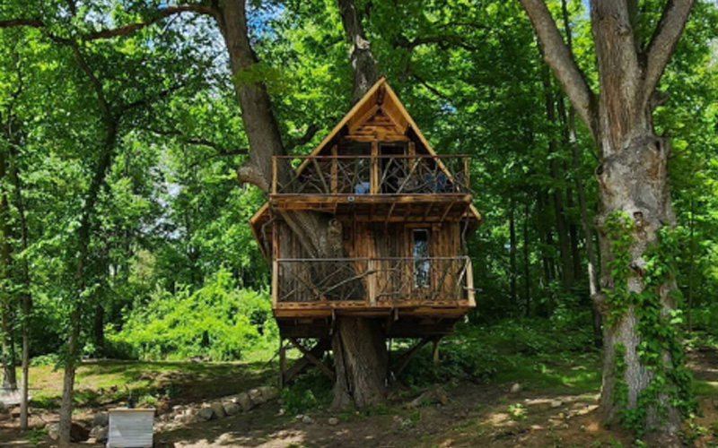 Treehouse rentals in Michigan - The Air TreeNbee