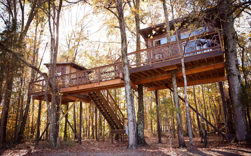 Treehouse rentals in North Carolina - Cherry Treesort - Big Nick