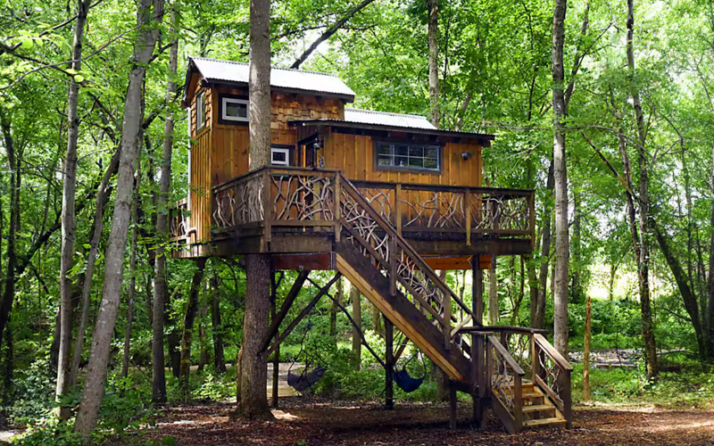 Treehouse rentals in North Carolina - Cherry Treesort "Miss Molly"