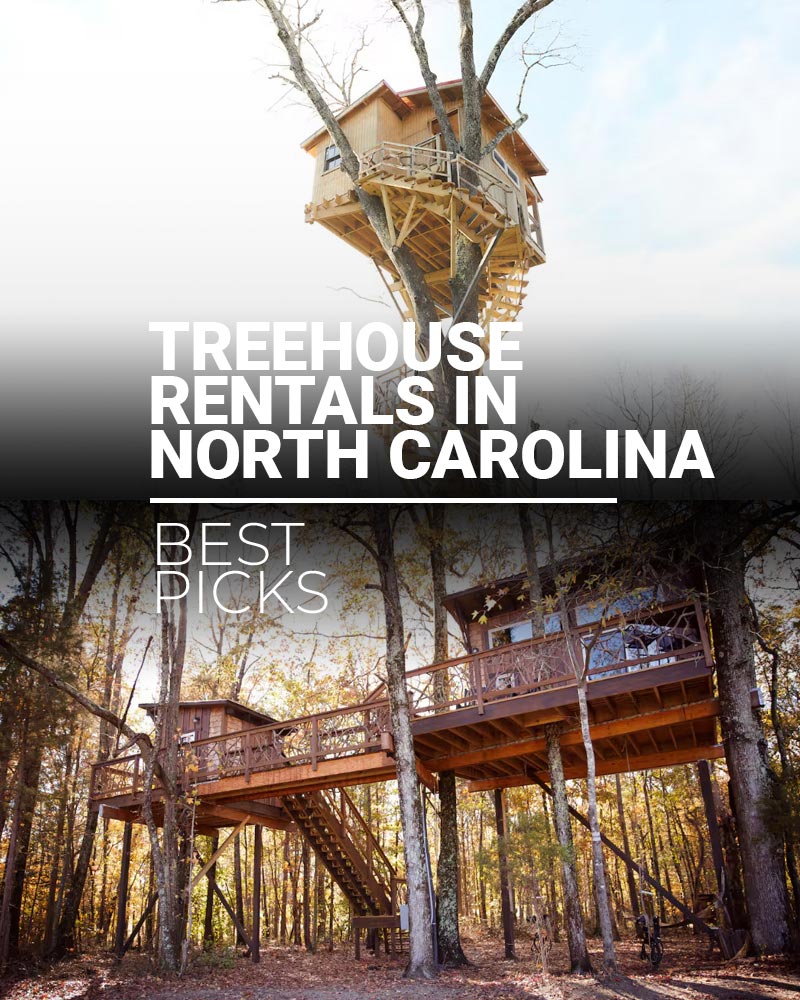 Treehouse rentals in North Carolina - Featured