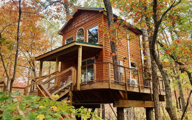 The Magnolia - North Carolina treehouse