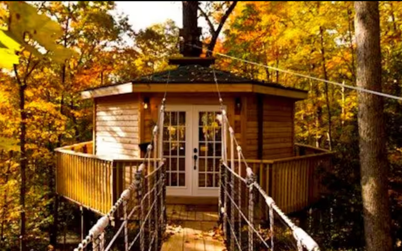 Holly Rock: Cozy Escape