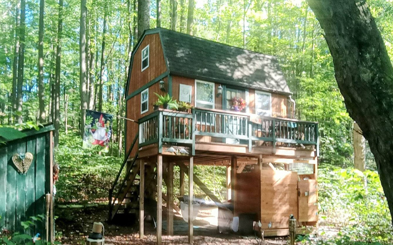 SIS's Romantic Treehouse