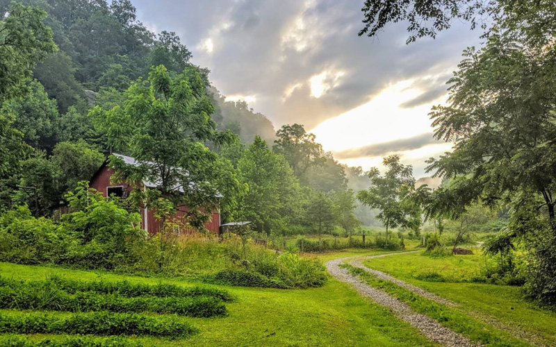 Treehouse rentals in West Virginia - Whimsical Treehouse field view